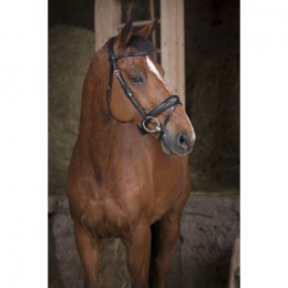 Norton Pro 'Soft' Bridle