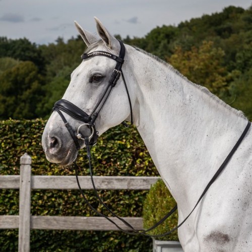 Dyon Bridle rolled leather