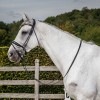 Dyon bridle patent white padded rolled leather