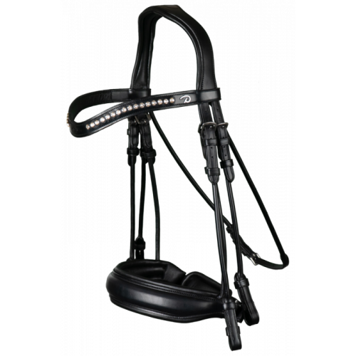 Dyon double bridle and round-stitched
