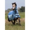 MASTER Waterproof Fly Rug