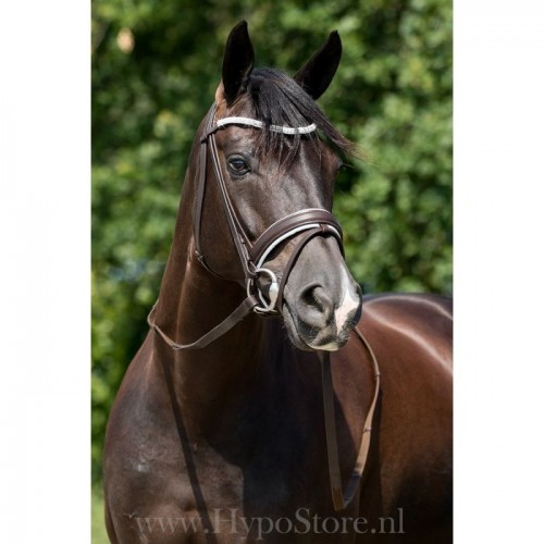 Premiera "Valentia" brown bridle with white padding and crystal browband, silver buckles