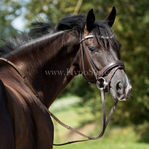 Premiera "Valentia" brown bridle with crystal browband, silver buckles