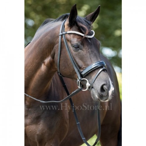 Premiera "Athena" black bridle with patent leather noseband, silver buckles