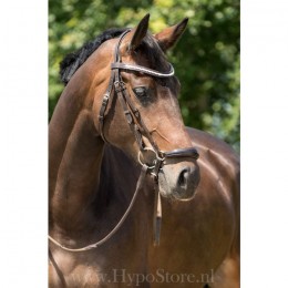 Premiera "Savona" brown bridle with padded drop patent leather noseband and anatomically shaped headpiece, gold buckles