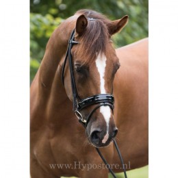 Premiera ''Monaco'' Black padded bridle with patent leather noseband, gold buckles