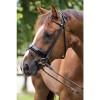 Premiera ''Monaco'' Black padded bridle with patent leather noseband, gold buckles