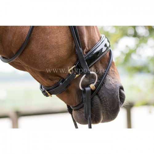 Premiera ''Monaco'' Black padded bridle with patent leather noseband, gold buckles