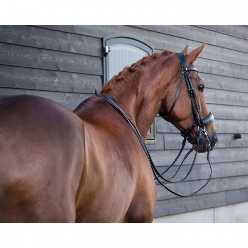 PresTeq Weymouth bridle FayPerform