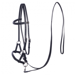 F.R.A. Bitless Sidepull bridle Pardoes