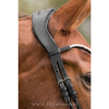 Premiera "Latina" black anatomic bridle with white padding and patent leather details