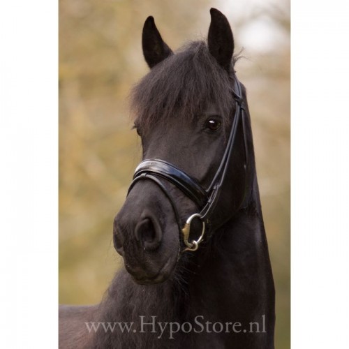 Premiera ''Monaco'' Black padded bridle with patent leather noseband, gold buckles