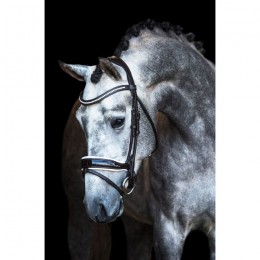 Premiera "Verona" brown anatomical bridle with white padded noseband
