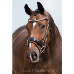 Premiera "Milano" Brown bridle with anatomically shaped headpiece and patent leather noseband, gold buckles