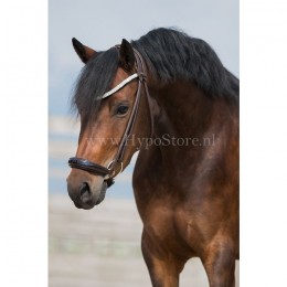 Premiera "Novara" Brown rolled bridle with drop patent leather noseband, gold buckles