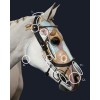 PresTeq Bridle FaySport