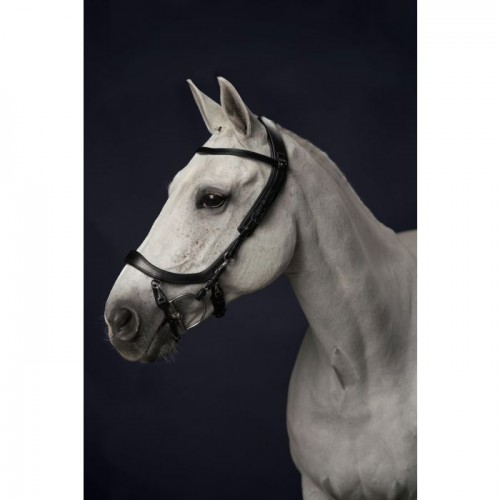 PresTeq Bridle FaySport