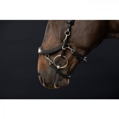 Предустановленный эквалайзер Bridle Fay Sport