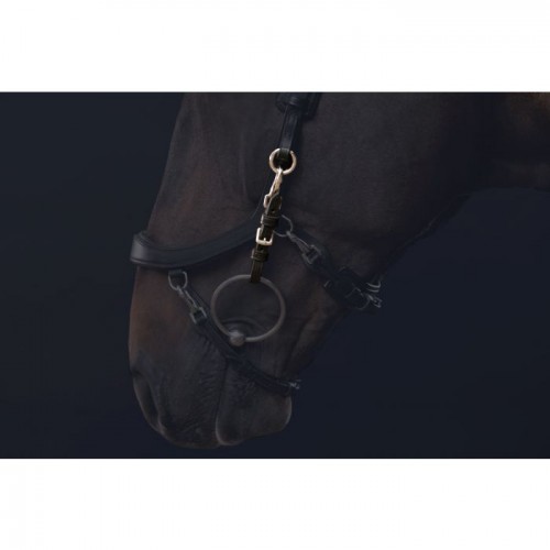 PresTeq Bridle FaySport