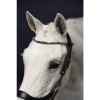 PresTeq Bridle FaySport