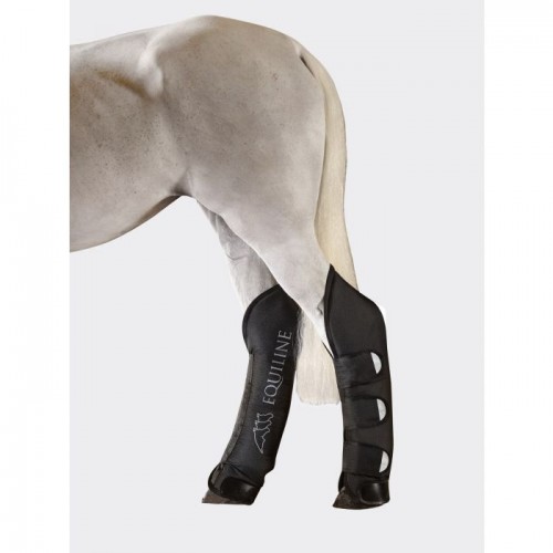 Equiline Travel Boots Rex