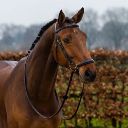 Trust Rome bridle dropped noseband