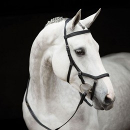 Rambo Micklem Competition Bridle