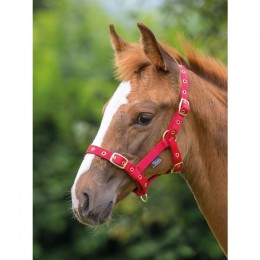 Shires nylon foal halter