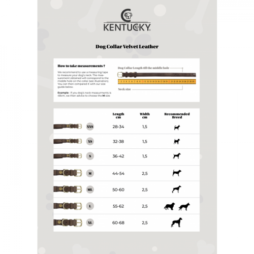 Ошейник для собак из бархатной кожи Kentucky