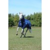 Bucas Smartex Rain Pony Blue