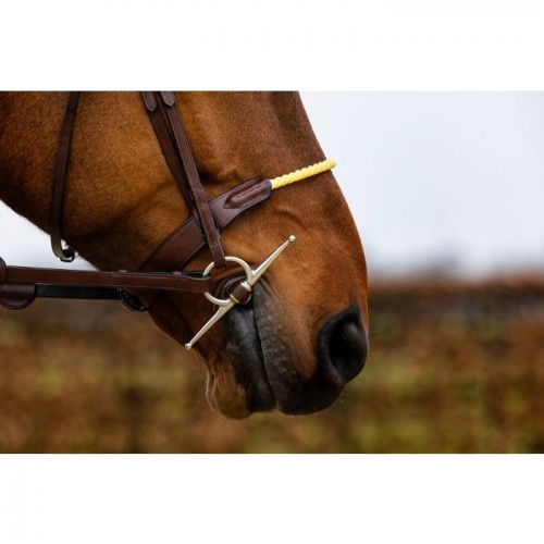 Trust St. Gallen bridle rope noseband