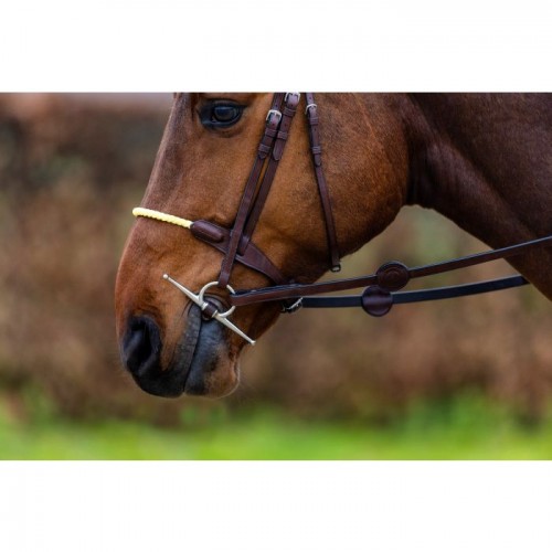 Trust St. Gallen bridle rope noseband