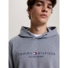 Мужская толстовка Tommy Hilfiger с капюшоном Williamsburg