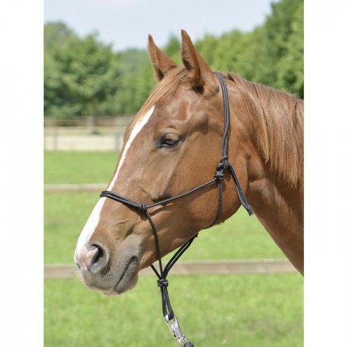 Busse rope halter Smooth ll