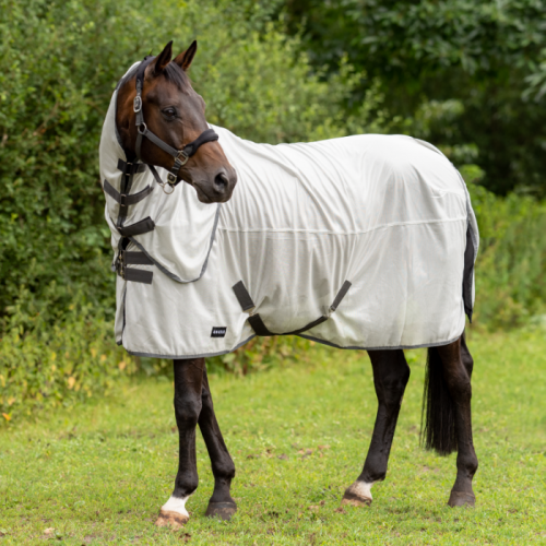 Busse Paddock Fly Rug Sunshine ll