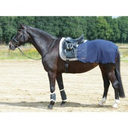Busse Training rug Fly