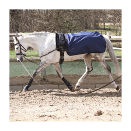 Busse Lunging Rug Rain 50