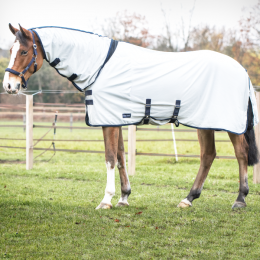 Busse Outdoor Fly Rug Comfort Pro