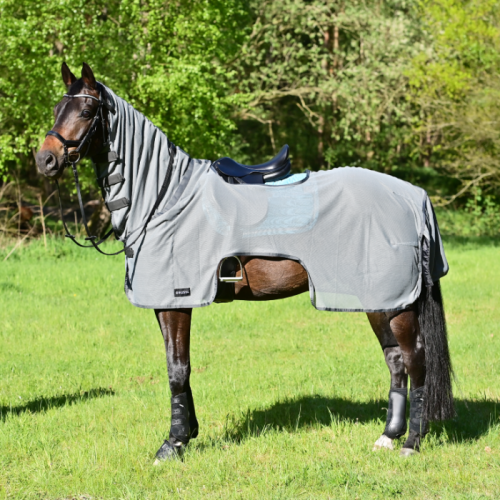 Busse Riding Rug Moskito III