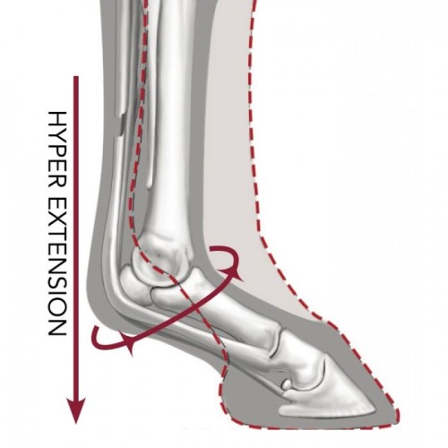 LeMieux Pro-Sport ULTRA Support Boots