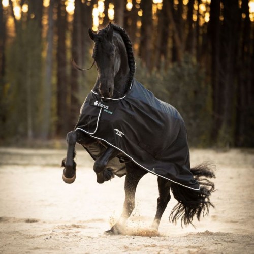 LeMieux Fly Rug Armour Tek