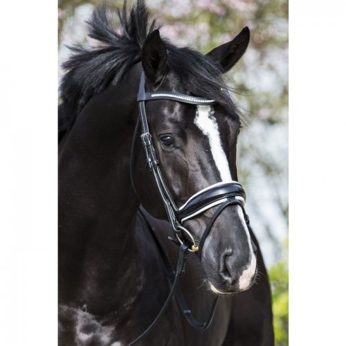 Premiera "Verona" black anatomical bridle with white padded noseband