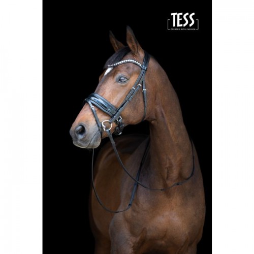 Tess Snaffle bridle wide