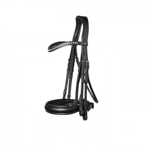 Trust Wellington double bridle