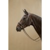 Dyon Snafle bridle Anatomic Patent noseband