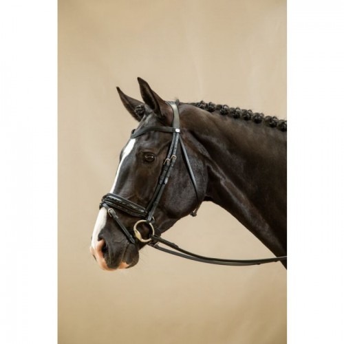 Dyon Snafle bridle Anatomic Patent noseband