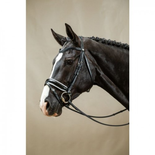 Dyon Snaffle bridle white padded