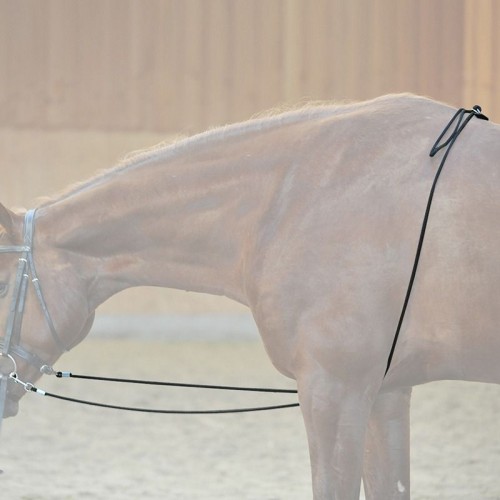 Kavalkade Lunge Aid Nylon