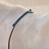 Kavalkade Lunge Aid Nylon