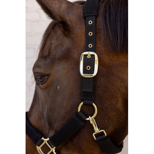 Kentucky 3D Mesh Halter
